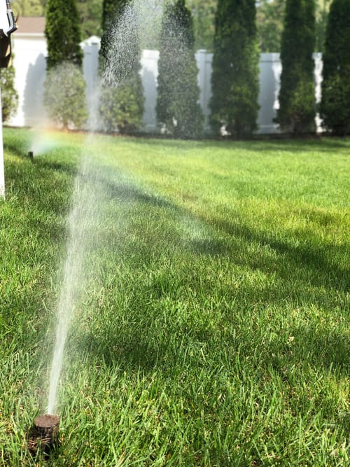 Lawn Irrigation in Anne Arundel County