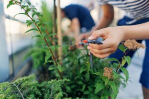 Drip Irrigation System in Anne Arundel County