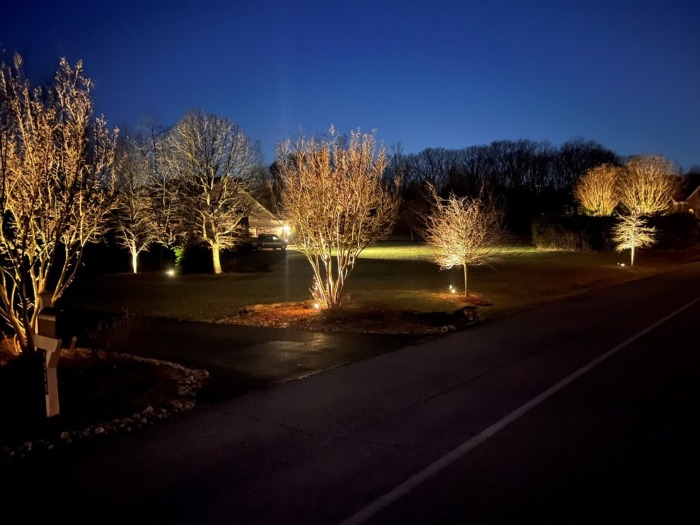 Path & Area Landscape Lights in Anne Arundel County