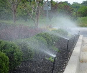 In-Ground Sprinklers in Anne Arundel County