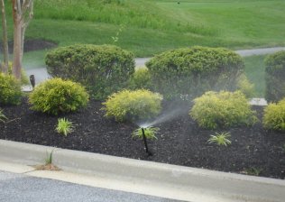 Irrigation Maintenance in Anne Arundel County